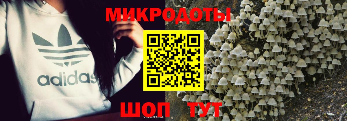 Галлюциногенные грибы ЛСД  купить закладку  Ялуторовск  Вход с VPN 